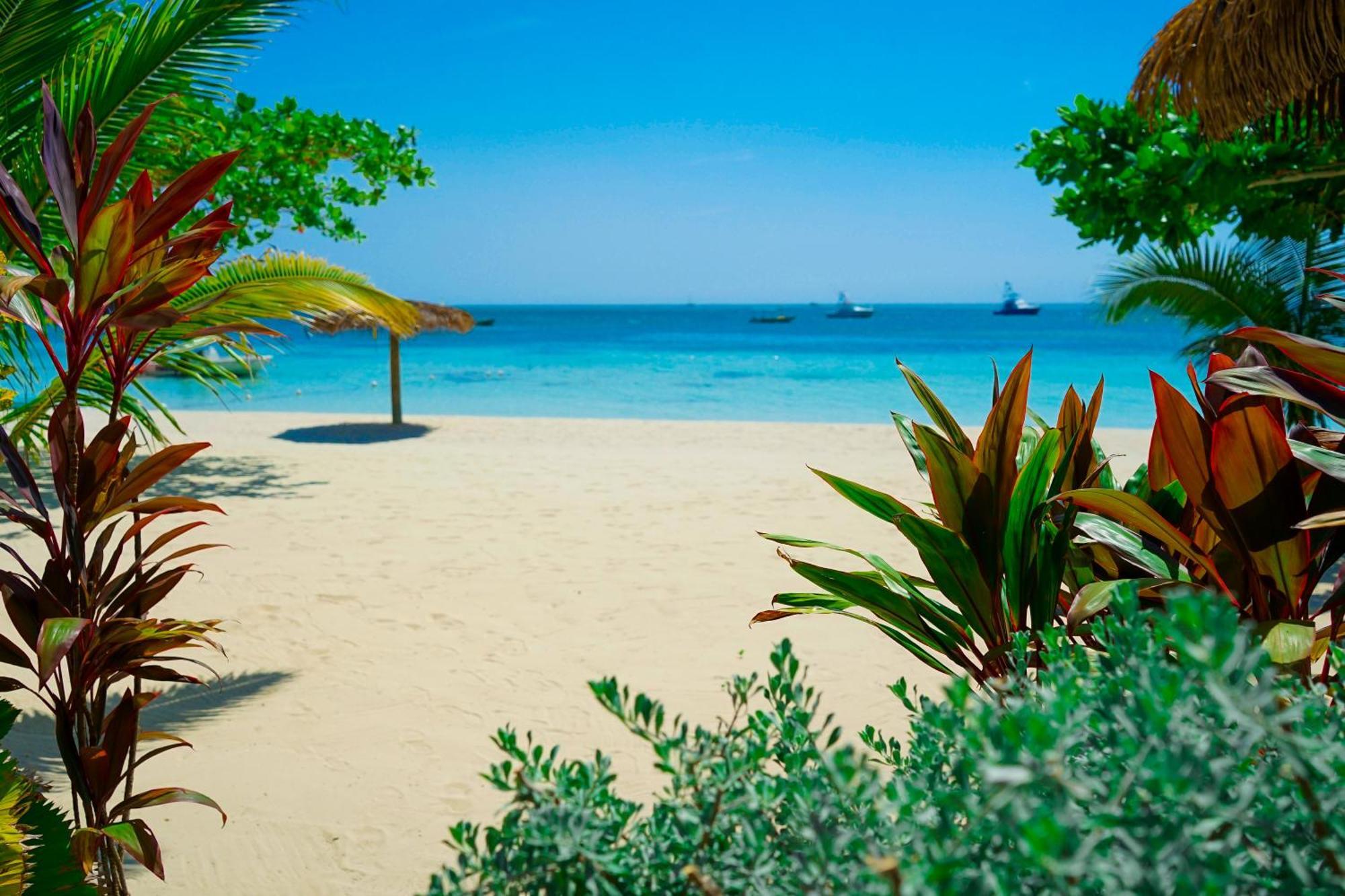 Ayurveda Resort Negril Luaran gambar